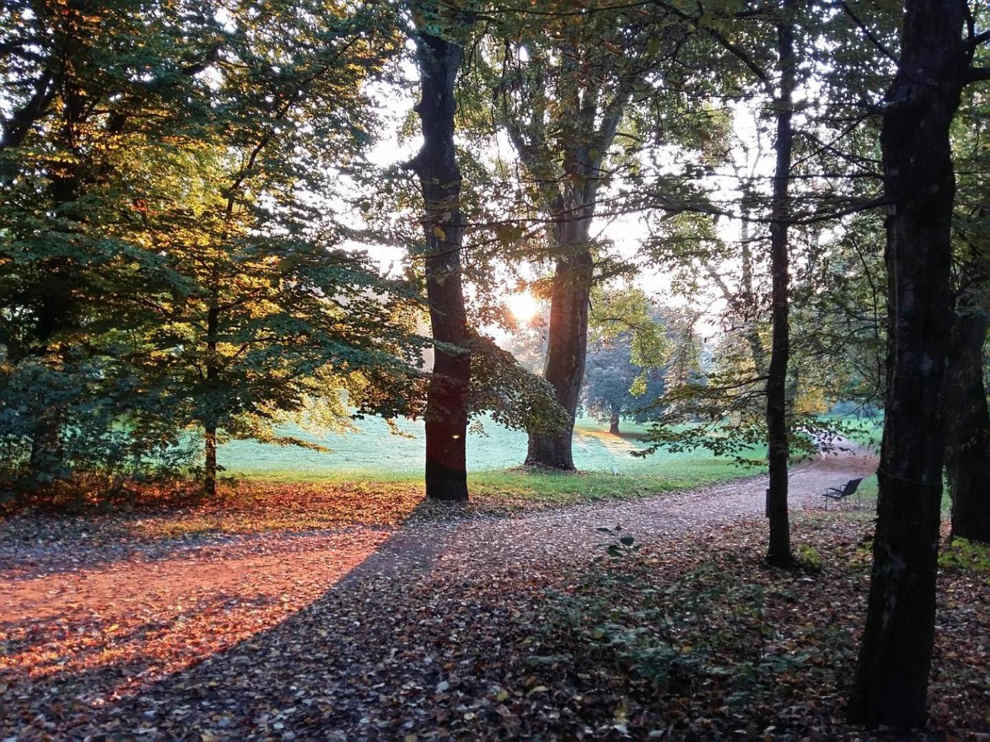 La Maisonnette Du Parc Le Creusot Extérieur photo